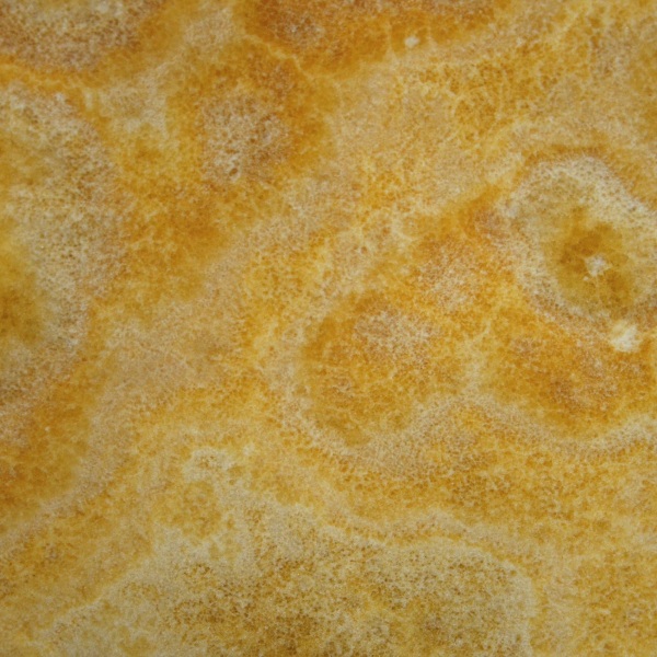 Oranger Onyx